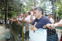 Clicca sulla foto per vedere ingrandimento